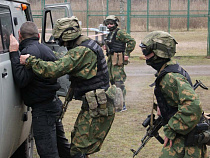 Росгвардию сформируют к началу Чемпионата мира по футболу 2018 года