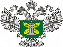 В 2014 году специалисты Россельхознадзора оформили свыше 120 тыс. партий грузов