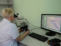 В Калининграде могут построить центр ядерной медицины