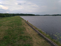 Подонок отравил водоём в Правдинском районе