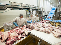 «Мираторг Запад» увеличил численность персонала на 20% с начала 2016 года