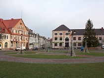 За вырубку ясеня дали срок и обязали заплатить свыше 448 тысяч рублей 