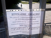 Остров Канта попал на дезинфекцию