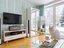 Названа реальная средняя цена квартиры в месяц в Калининграде