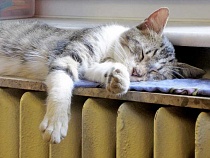 Названа дата завершения отопительного сезона в Калининграде