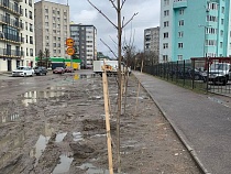 Дятлова пообещала чаще бывать в Московском районе Калининграда