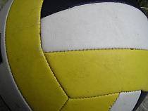 Женский волейбольный клуб из Калининграда возглавил экс-тренер сборной России