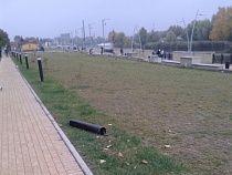 На набережной Трибуца не прекращаются акты вандализма