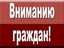 В Калининграде разыскивают сбежавших подростков