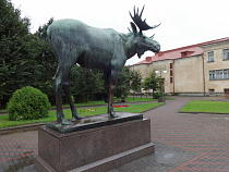 Ефрейтор нагулял себе 10 месяцев колонии-поселения