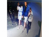 Полиция в Калининграде ищет молодых ночных грабителей (фото)