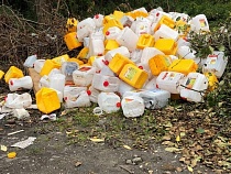 Ресторатор устроил нелегальную свалку на окраине Калининграда