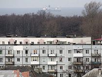 В Балтийске расприватизировали лес