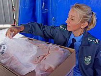 Калининградский Россельхознадзор тормознул 54 тонны фарша из Перу