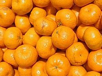 В Калининград не попали южноафриканские мандарины с мухами