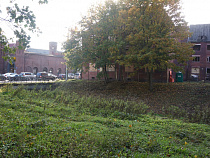 Московский инвестор показал точку высотной застройки Закхаймского парка (проект, карта)