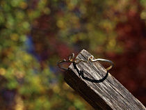 Калининградец с другом арендовали микрик для кражи столбов 