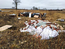 Эколог обнаружил большую свалку строительного мусора в 5 км от Калининграда