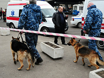Житель Санкт-Петербурга заминировал два вокзала в Калининграде
