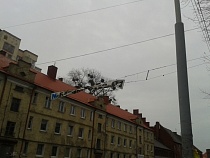 В Калининграде без горячей воды и света остались десятки улиц и школа