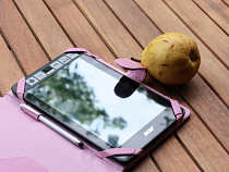 В Калининграде школьникам вручат планшеты вместо учебников