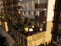 В Калининграде проведут эксперимент с высадкой растений на крышах домов   