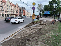 Названа дата старта разметки под выделенные полосы в Калининграде