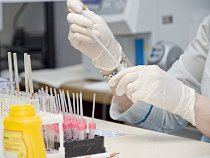 С начала года в Калининграде выявлено 322 ВИЧ-инфицированных