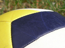 В Калининграде создадут женскую волейбольную команду суперлиги