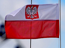 Калининградец попытался вывезти 2,8 кг янтаря “к другу в Швейцарию”