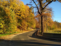 День дождь, два – солнце: погода в Калининграде на ноябрьские праздники