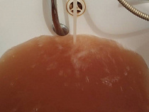 Соцсети: в Янтарном из крана течёт крафтовое пиво 