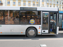 В Калининграде 25 августа выйдут на маршруты 100% автобусов