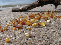 Янтарная лихорадка: калининградские полицейские задержали 46 «чёрных копателей» янтаря