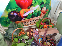 В Калининградской области в июне сильно подешевели овощи