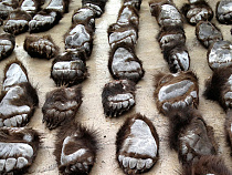 Пора подумать о природе