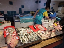 Спекулянты задирают цену на салаку в Калининграде 