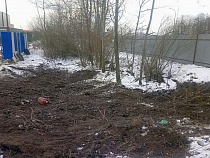 Мэрия разрешила Ярошуку вырубить 52 дерева на Московском проспекте