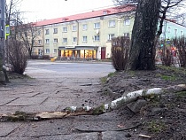 В Калининграде решили подсчитать ущерб от трёх штормов