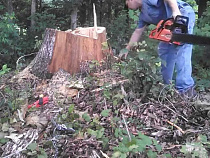 Брянские СМИ:  парк "Виштынецкий" вырезают