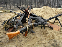 Домушник вынес целый арсенал оружия из дома в Калининграде