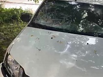 Водителя «Рено» отправили на 6 лет в колонию за смерть пешехода