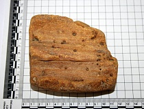 На пути в Литву задержали машину с 48 кг янтаря