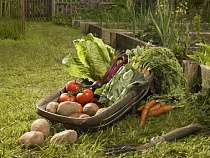 Премьер-министр России подписал постановления о распределении субсидий в сельскохозяйственной сфере