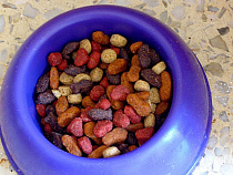 В Латвию возвращено 780 кг добавок в корм животных