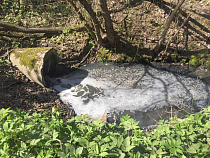 Владимирский мясной холдинг загрязнял ручей в Калининградской области без разрешения