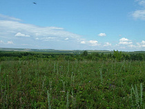 Антон Алиханов призвал активнее брать на баланс земли с бесхозными каналами