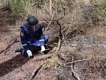 Сапёры из Петербурга за три дня нашли под Балтийском 25 снарядов