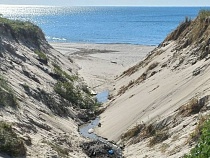 В Калининградской области янтарщик взмолился о незаконном выезде на пляж