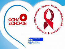 В Калининграде пройдет «Городской Молодежный День Донора»